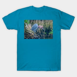 Shaggy Headed Reddish Egret T-Shirt